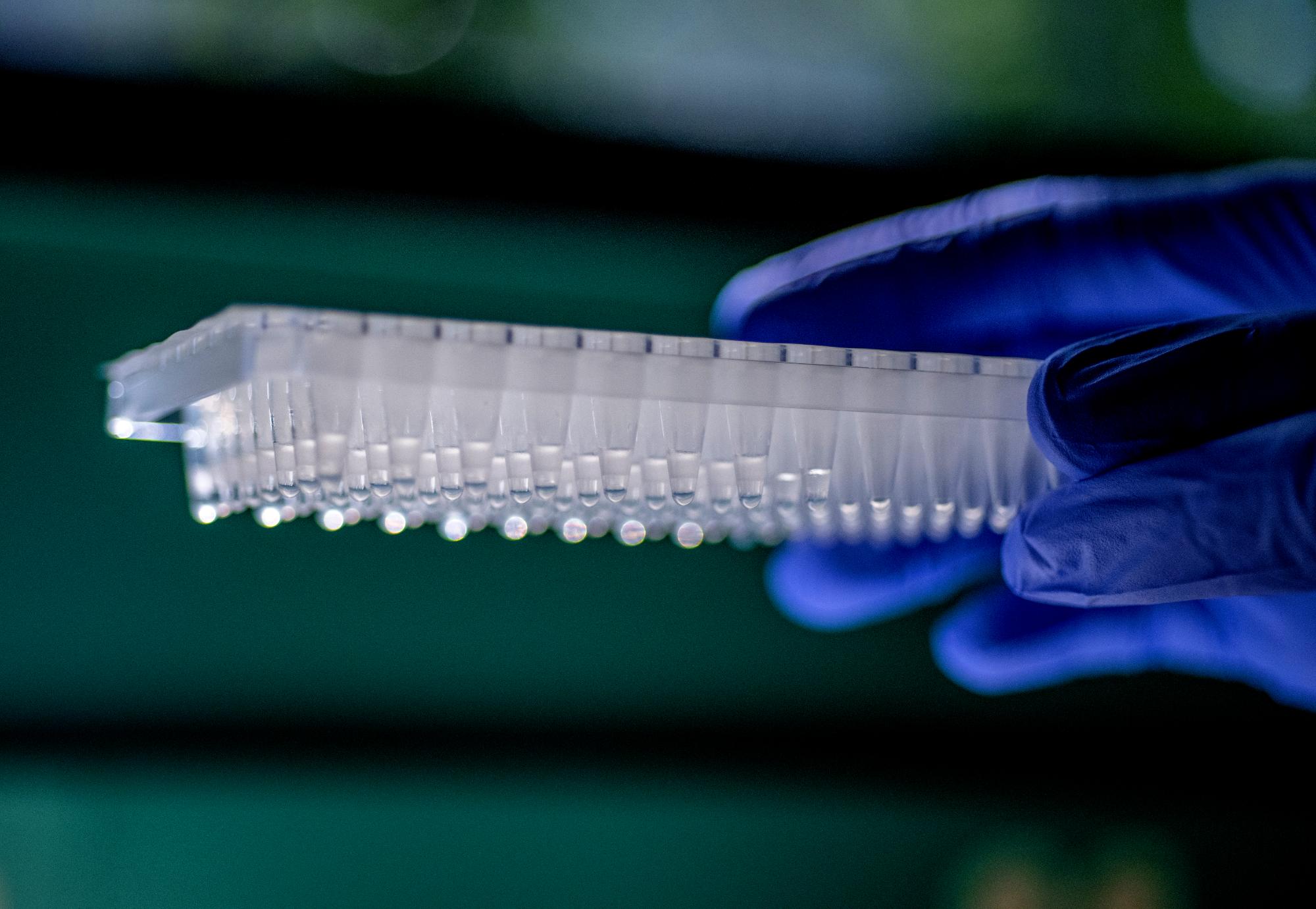 Student pipetting in lab.